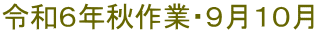 令和６年秋作業・９月１０月
